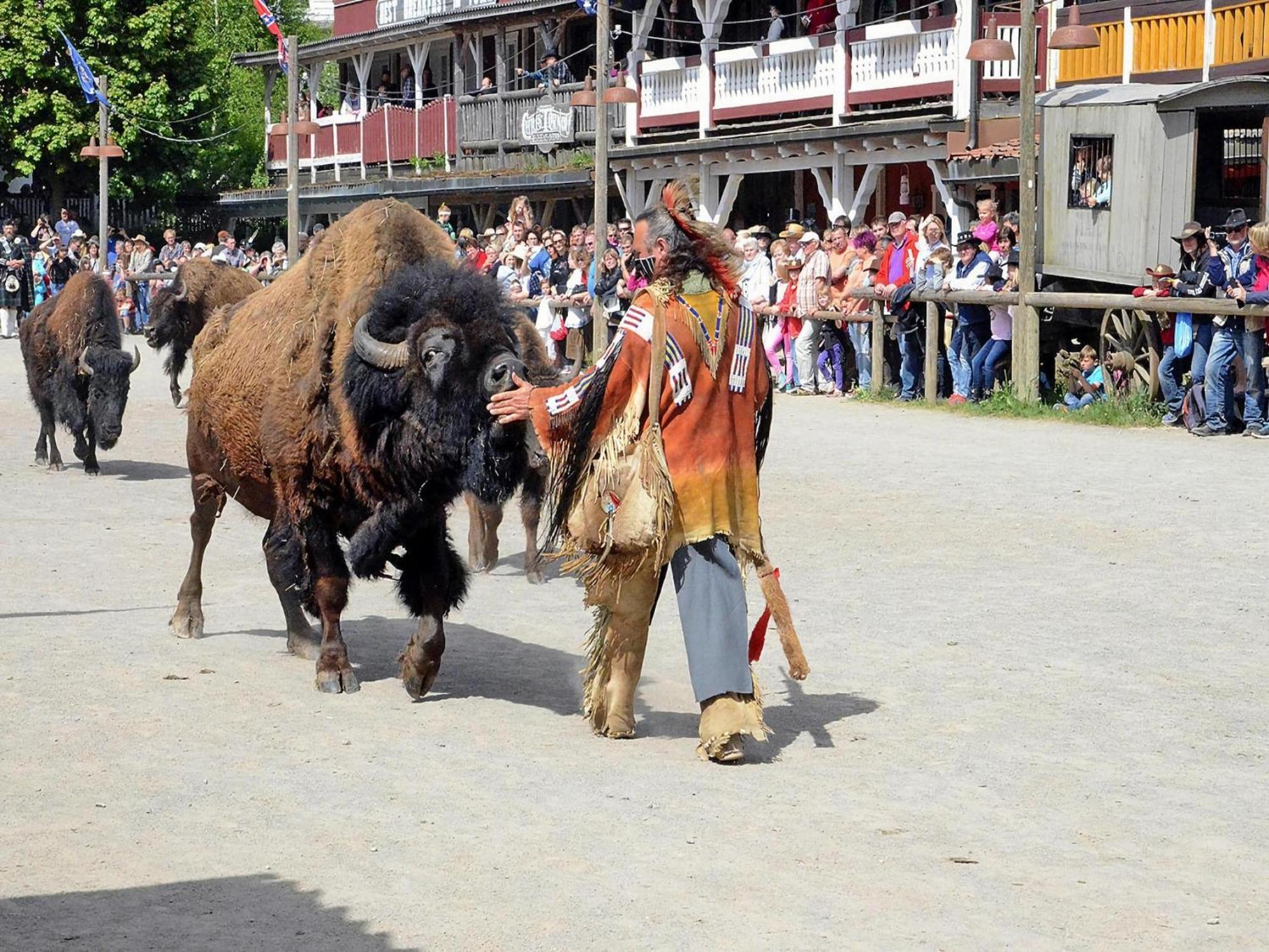 Harz Holiday Park, 哈瑟尔费尔德 外观 照片